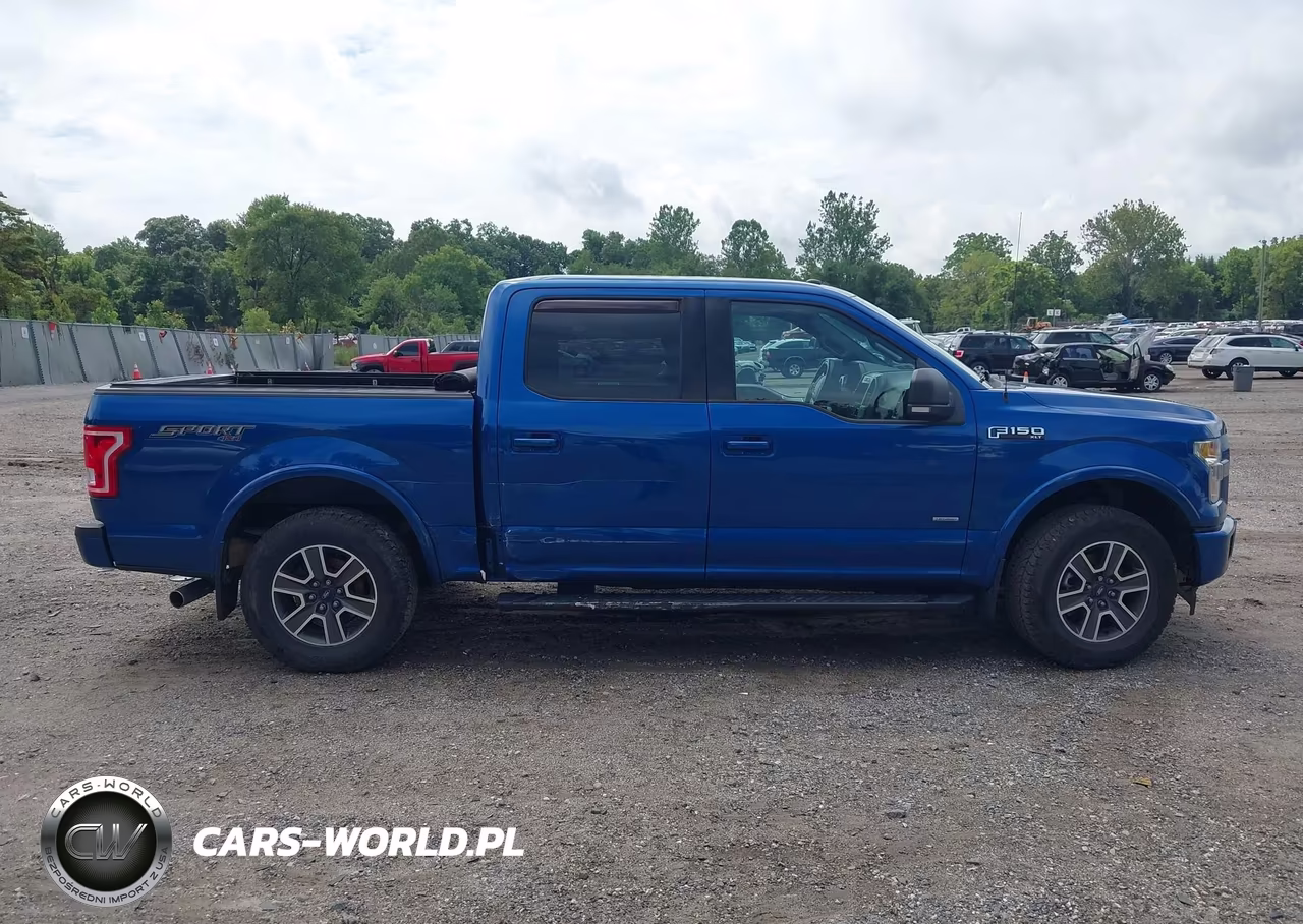 2017 Ford F-150 Xlt VIN:1FTEW1EP2HFC76642 - 13