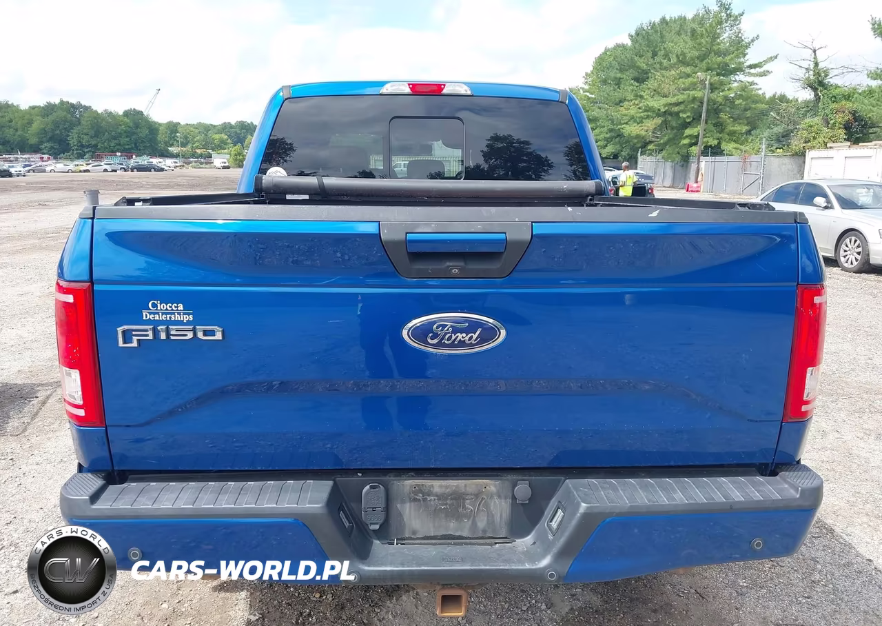 2017 Ford F-150 Xlt VIN:1FTEW1EP2HFC76642 - 16