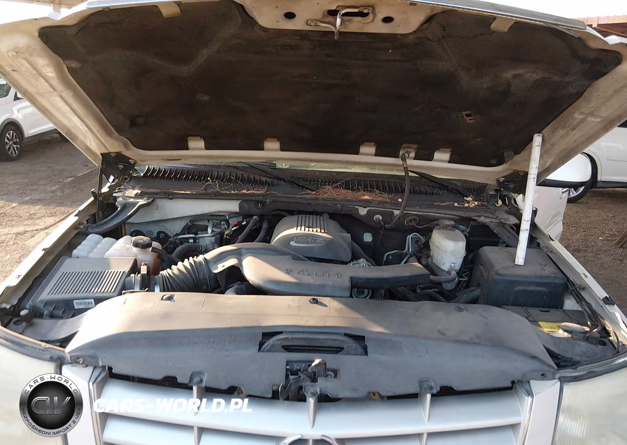 2004 Cadillac Escalade Standard VIN:1GYEC63T34R209332 - 10