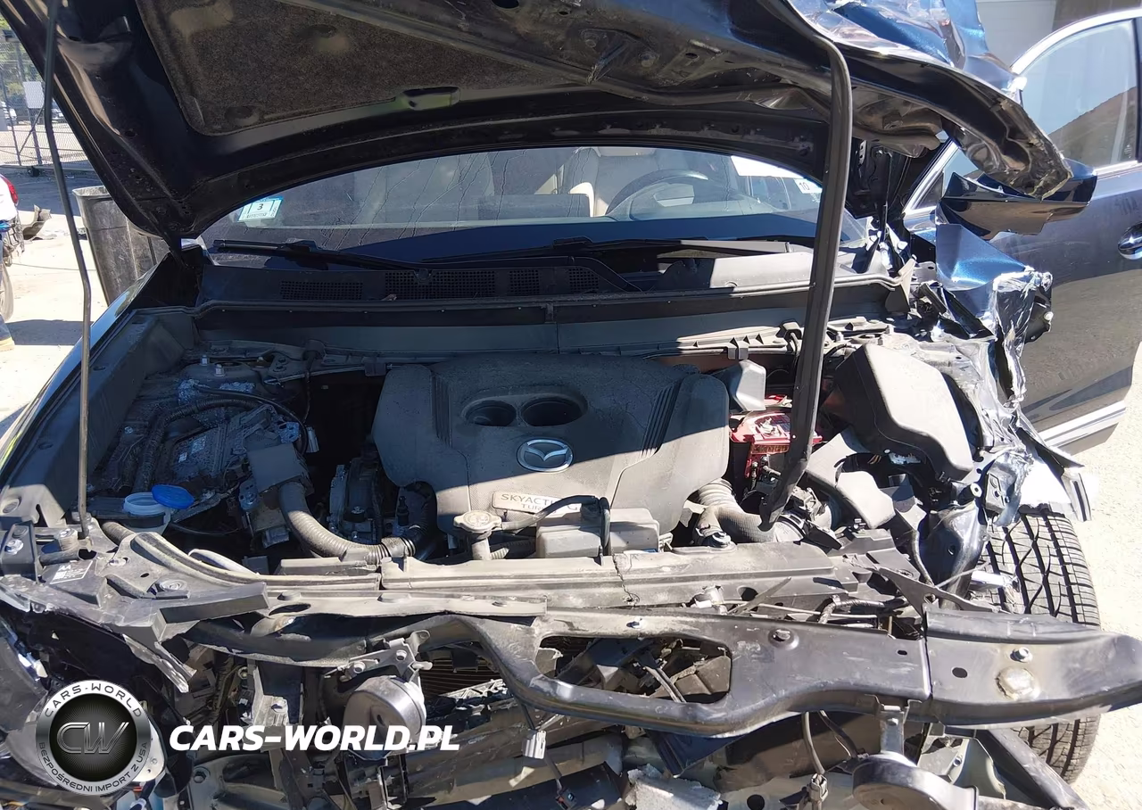 2023 Mazda Cx-9 Grand Touring VIN:JM3TCBDY6P0633474 - 10