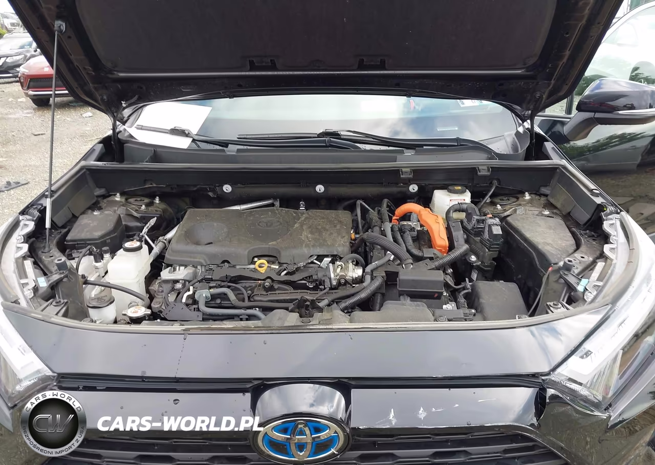 2024 Toyota Rav4 Hybrid Woodland Edition VIN:2T3UWRFV3RW226503 - 10