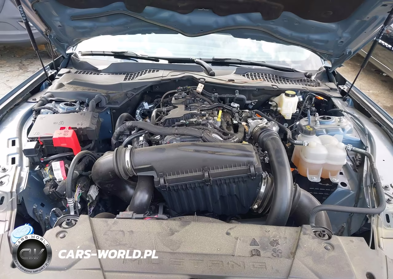 2024 Ford Mustang Ecoboost Fastback VIN:1FA6P8TH6R5138542 - 10