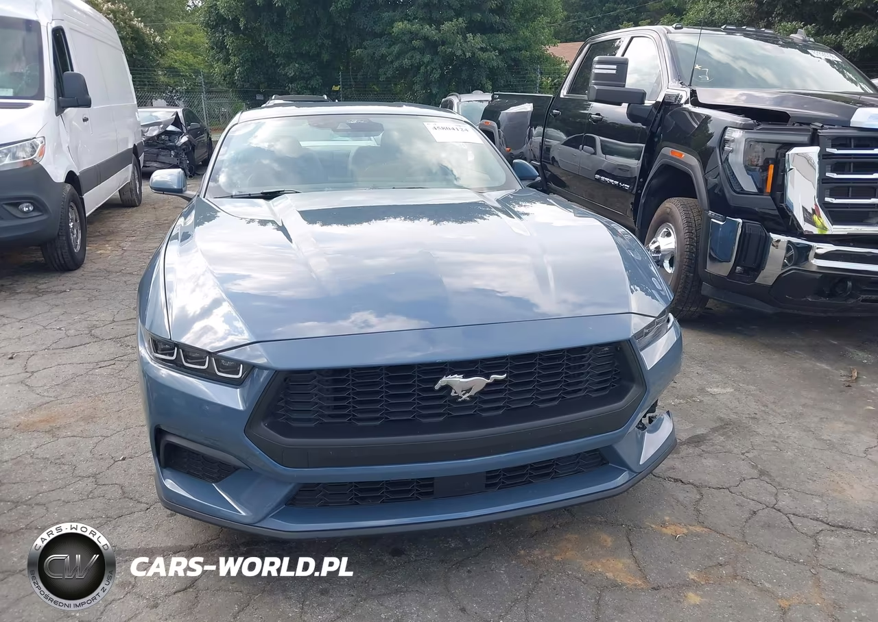 2024 Ford Mustang Ecoboost Fastback VIN:1FA6P8TH6R5138542 - 12