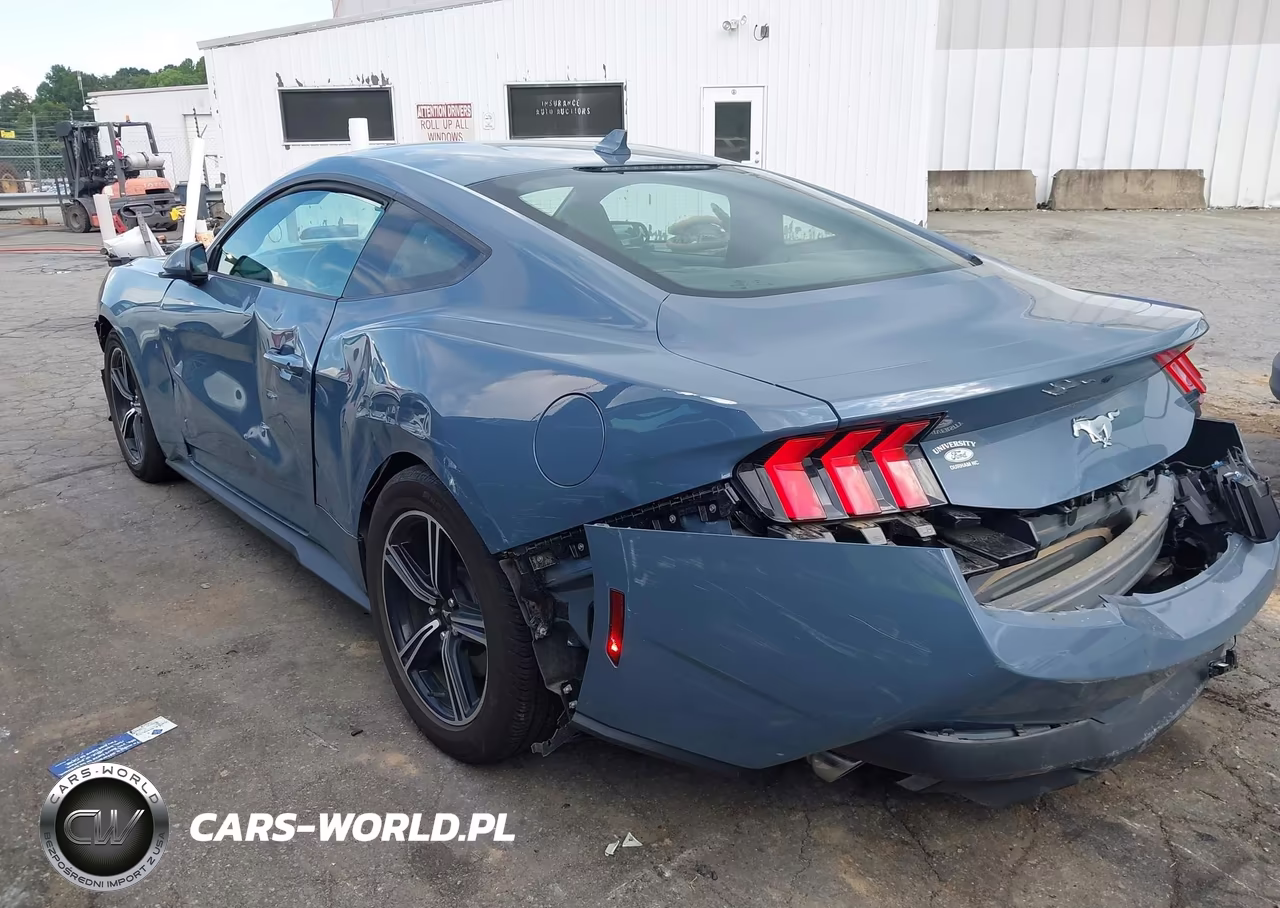2024 Ford Mustang Ecoboost Fastback VIN:1FA6P8TH6R5138542 - 3