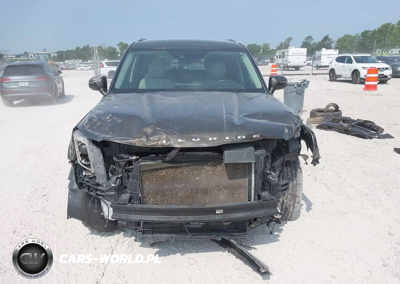 2020 Kia Telluride Ex VIN:5XYP3DHC4LG074015 - 13