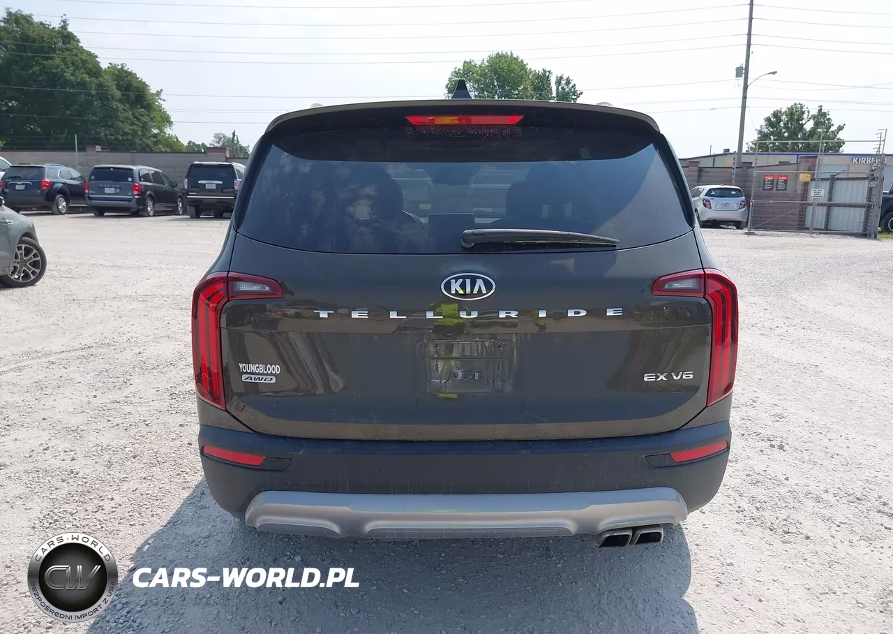 2020 Kia Telluride Ex VIN:5XYP3DHC4LG074015 - 17