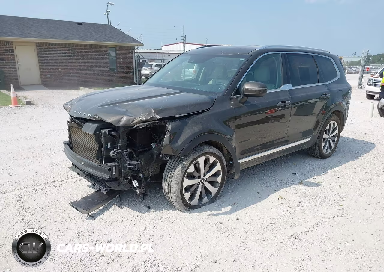 2020 Kia Telluride Ex VIN:5XYP3DHC4LG074015 - 2
