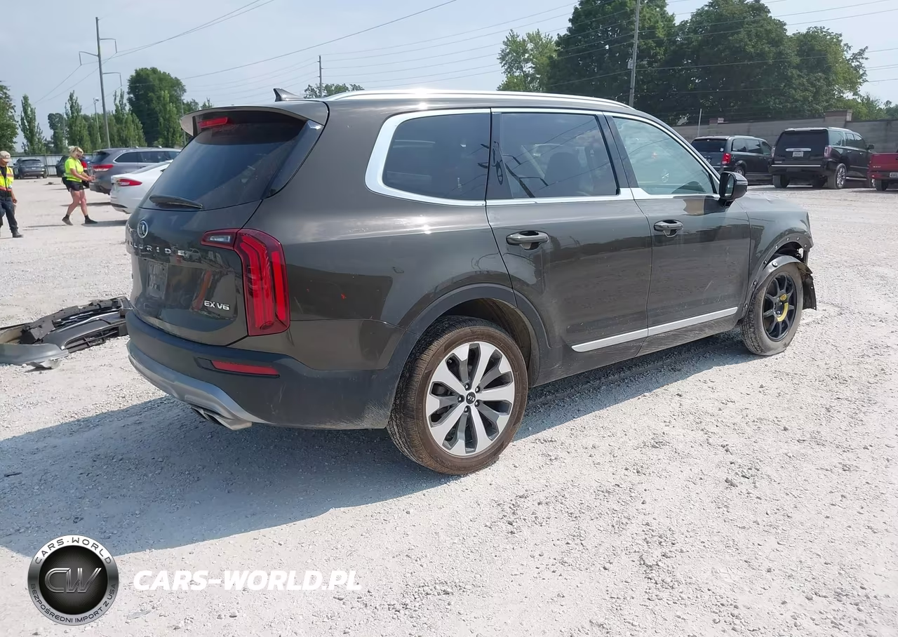 2020 Kia Telluride Ex VIN:5XYP3DHC4LG074015 - 4
