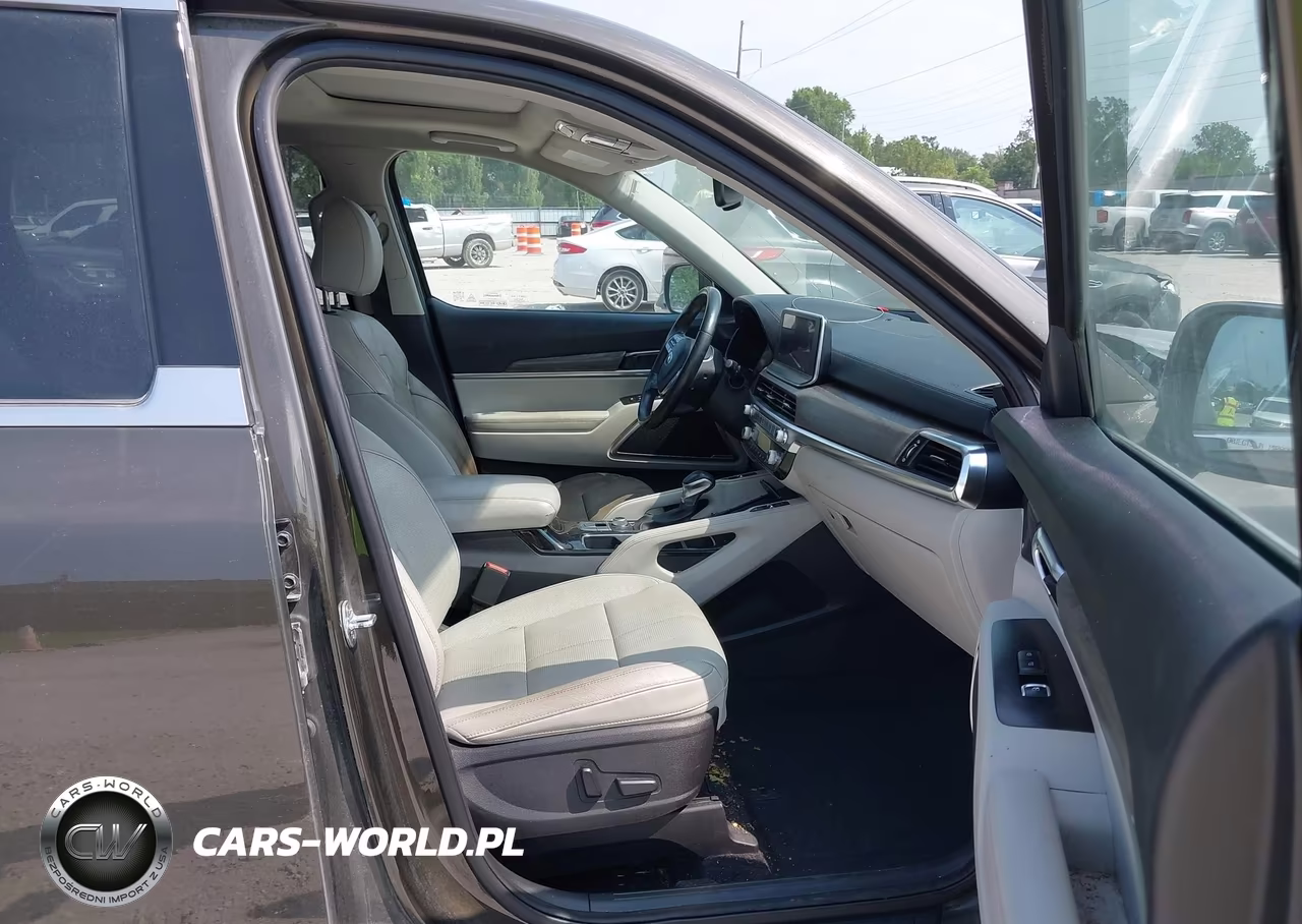 2020 Kia Telluride Ex VIN:5XYP3DHC4LG074015 - 5