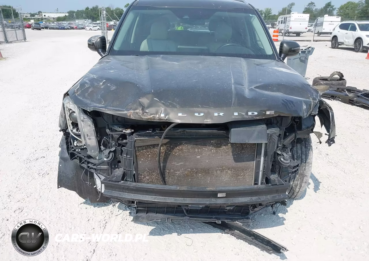 2020 Kia Telluride Ex VIN:5XYP3DHC4LG074015 - 6