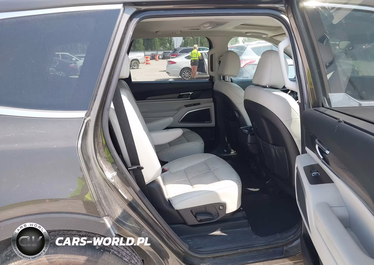 2020 Kia Telluride Ex VIN:5XYP3DHC4LG074015 - 8