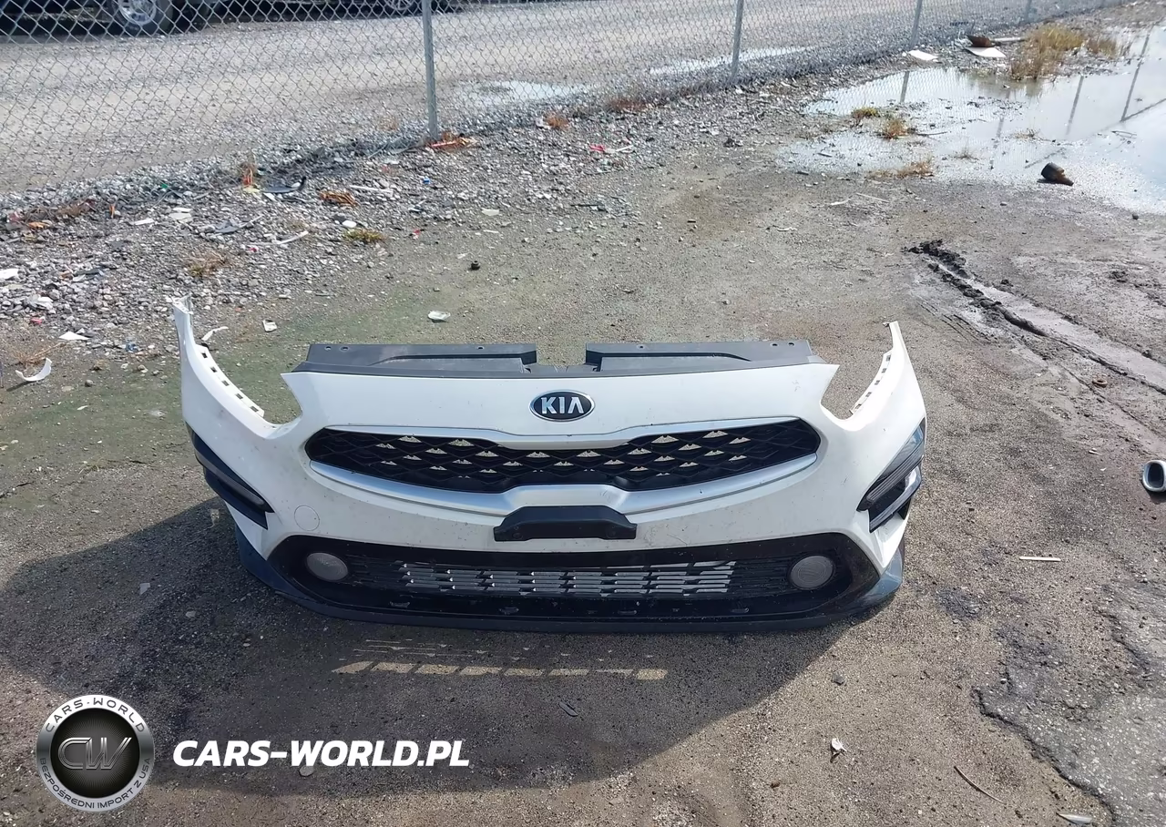 2019 Kia Forte Lxs VIN:3KPF24AD3KE113710 - 12