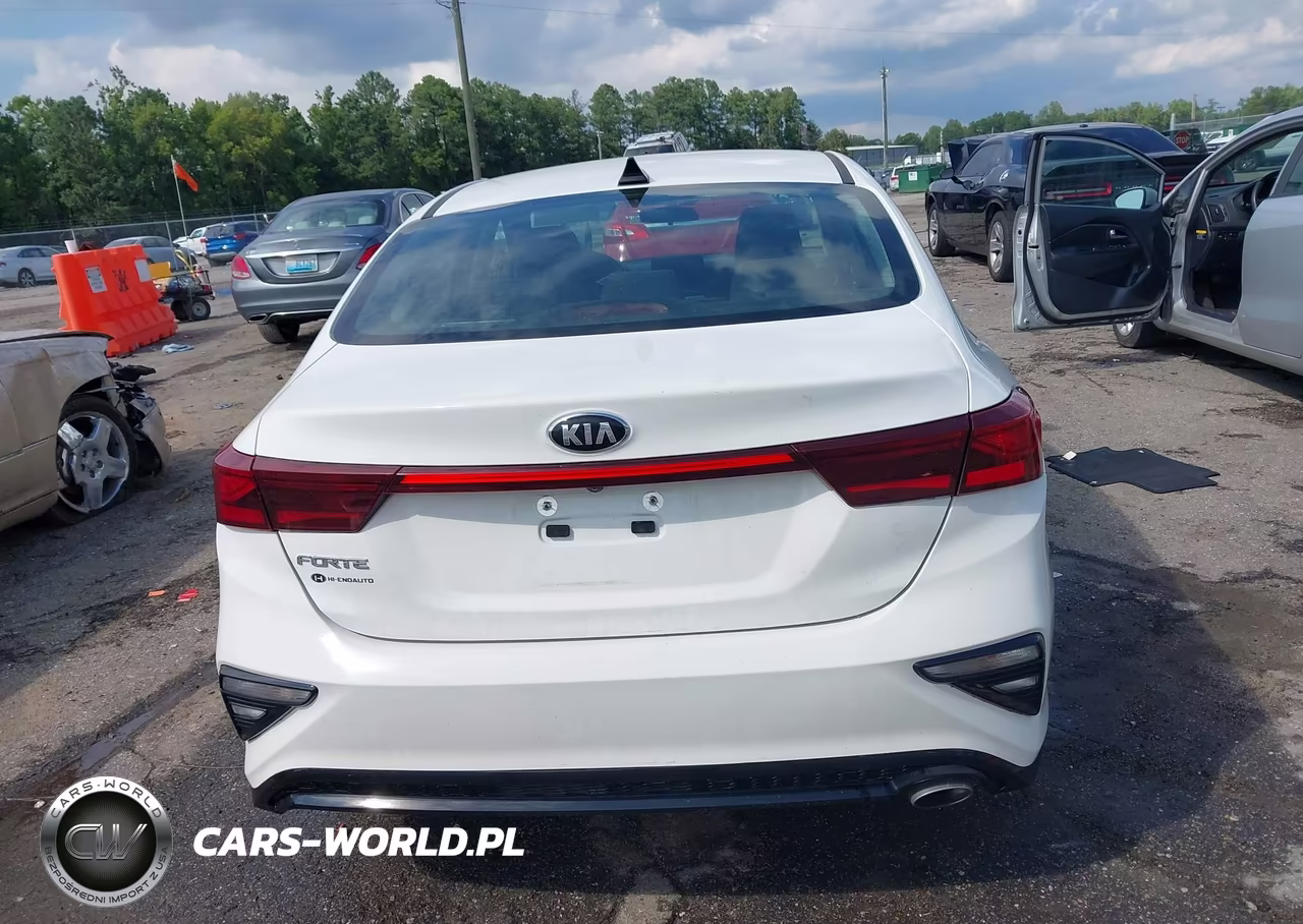 2019 Kia Forte Lxs VIN:3KPF24AD3KE113710 - 17