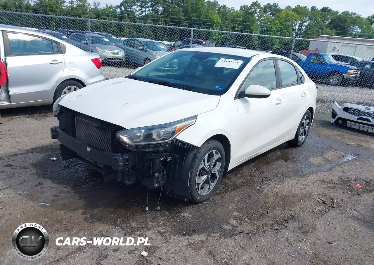 2019 Kia Forte Lxs VIN:3KPF24AD3KE113710 - 2