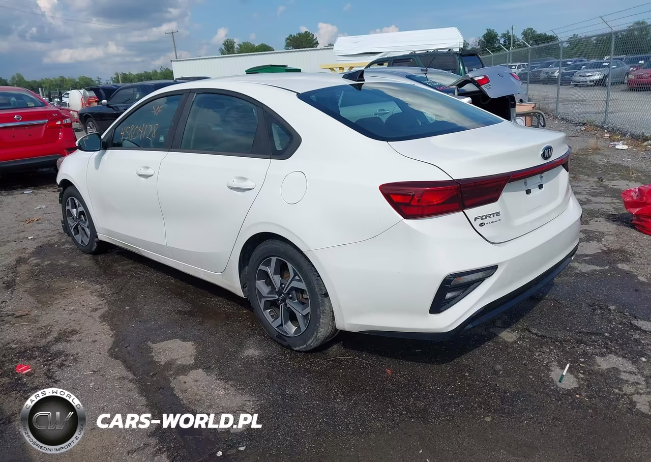 2019 Kia Forte Lxs VIN:3KPF24AD3KE113710 - 3