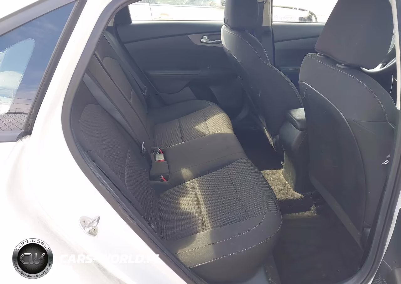 2019 Kia Forte Lxs VIN:3KPF24AD3KE113710 - 8