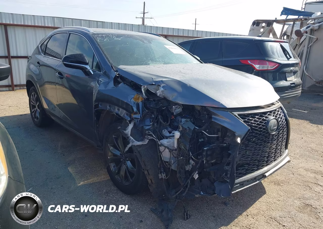 2019 Lexus Nx 300 F Sport