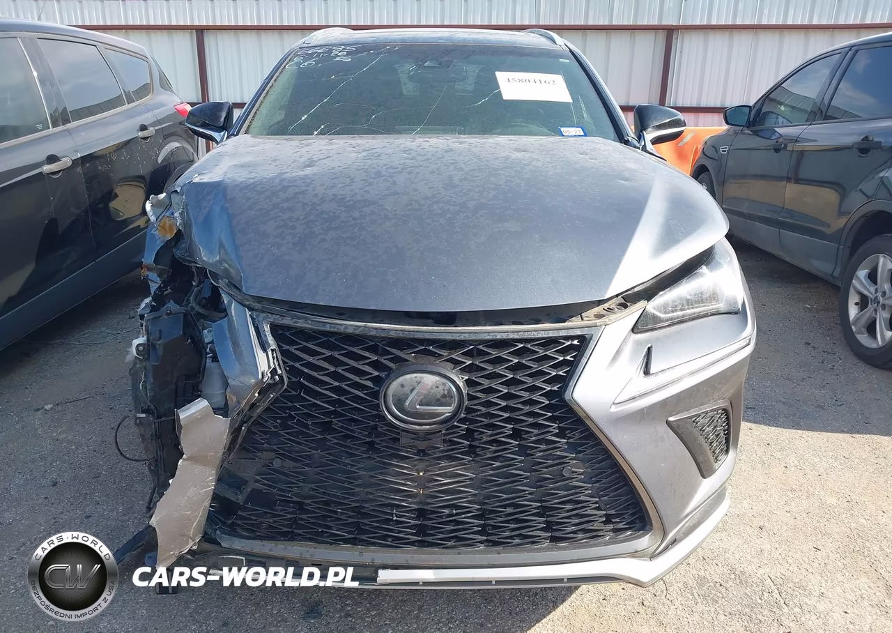2019 Lexus Nx 300 F Sport VIN:JTJYARBZ4K2122865 - 12