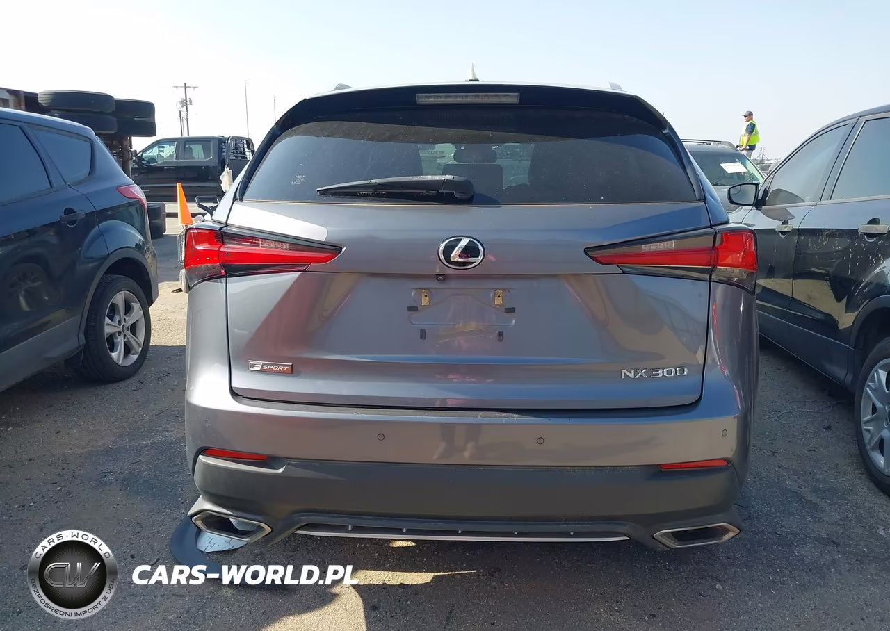 2019 Lexus Nx 300 F Sport VIN:JTJYARBZ4K2122865 - 16