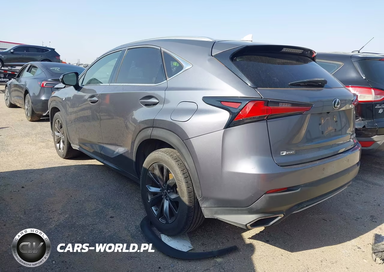 2019 Lexus Nx 300 F Sport VIN:JTJYARBZ4K2122865 - 3