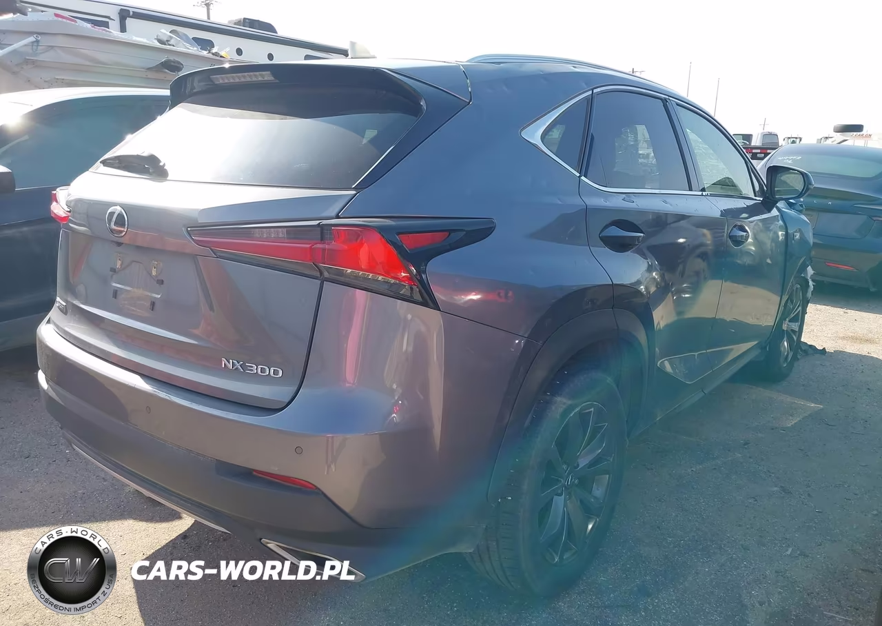 2019 Lexus Nx 300 F Sport VIN:JTJYARBZ4K2122865 - 4