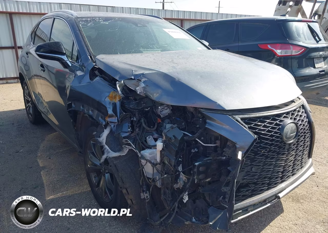 2019 Lexus Nx 300 F Sport VIN:JTJYARBZ4K2122865 - 6