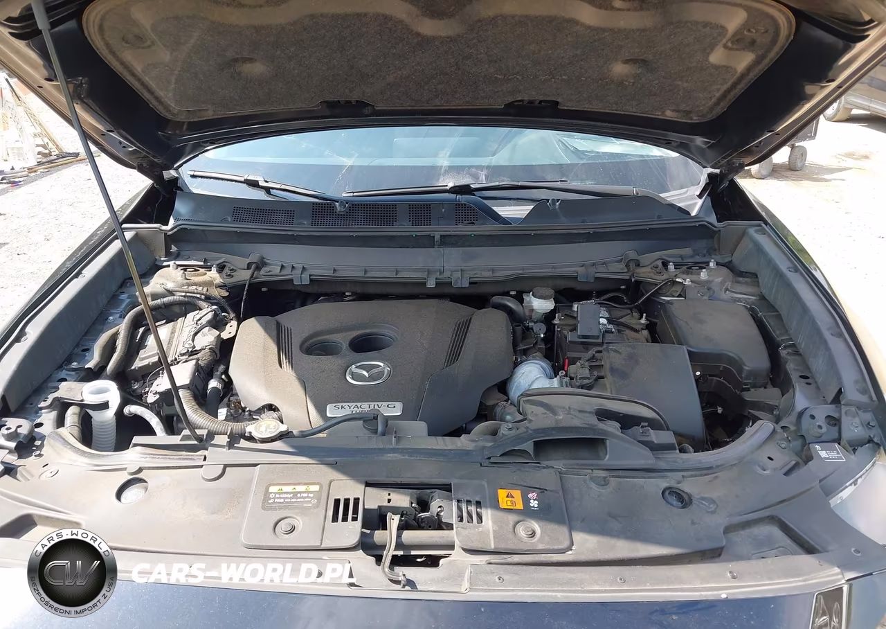 2023 Mazda Cx-9 Touring VIN:JM3TCBCY8P0647832 - 10