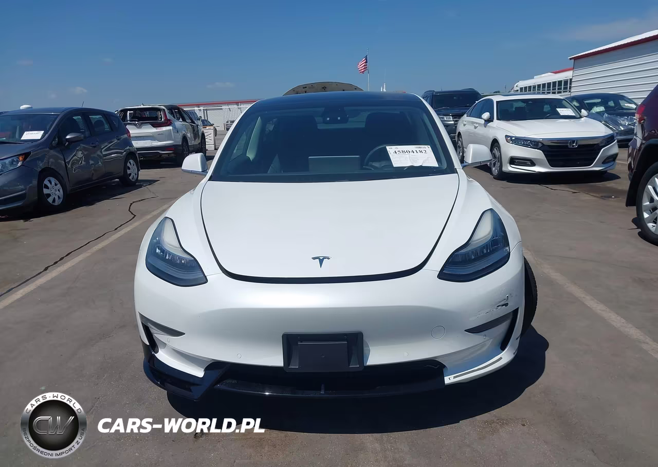 2019 Tesla Model 3 Long Range-Mid Range-Standard Range-Standard Range Plus VIN:5YJ3E1EA5KF434960 - 11