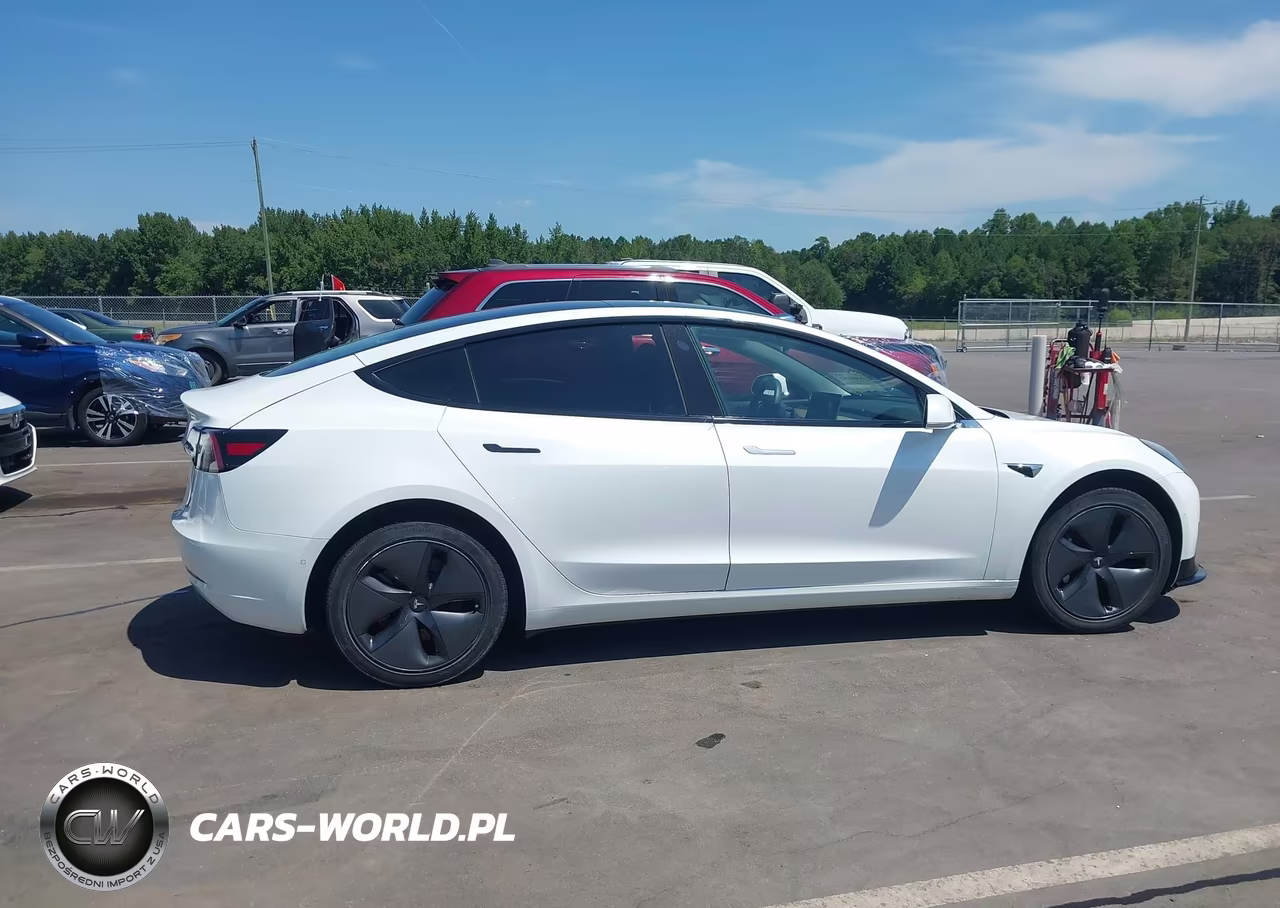 2019 Tesla Model 3 Long Range-Mid Range-Standard Range-Standard Range Plus VIN:5YJ3E1EA5KF434960 - 12