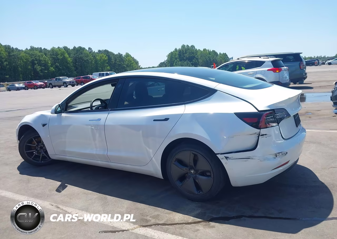 2019 Tesla Model 3 Long Range-Mid Range-Standard Range-Standard Range Plus VIN:5YJ3E1EA5KF434960 - 13
