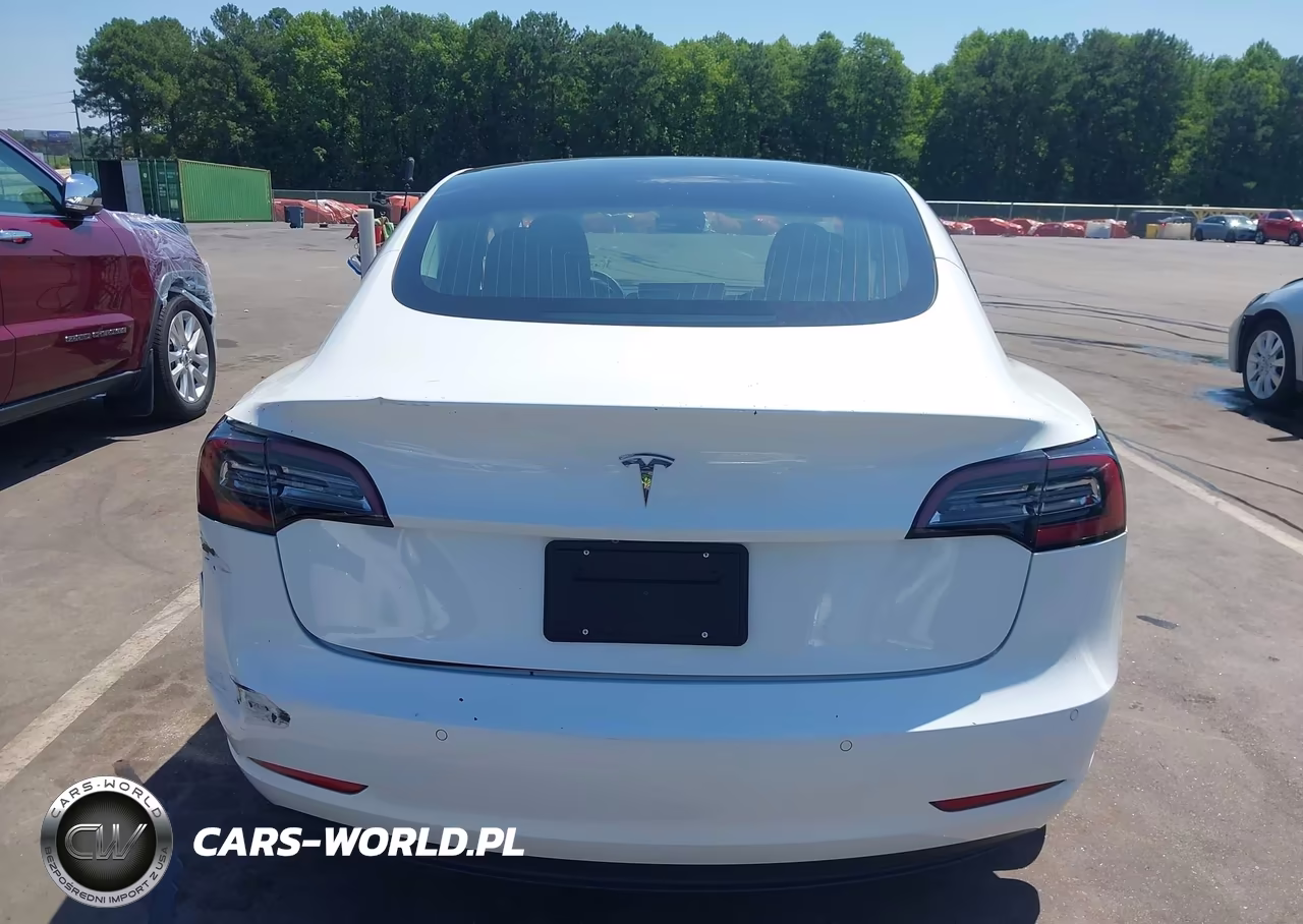 2019 Tesla Model 3 Long Range-Mid Range-Standard Range-Standard Range Plus VIN:5YJ3E1EA5KF434960 - 15