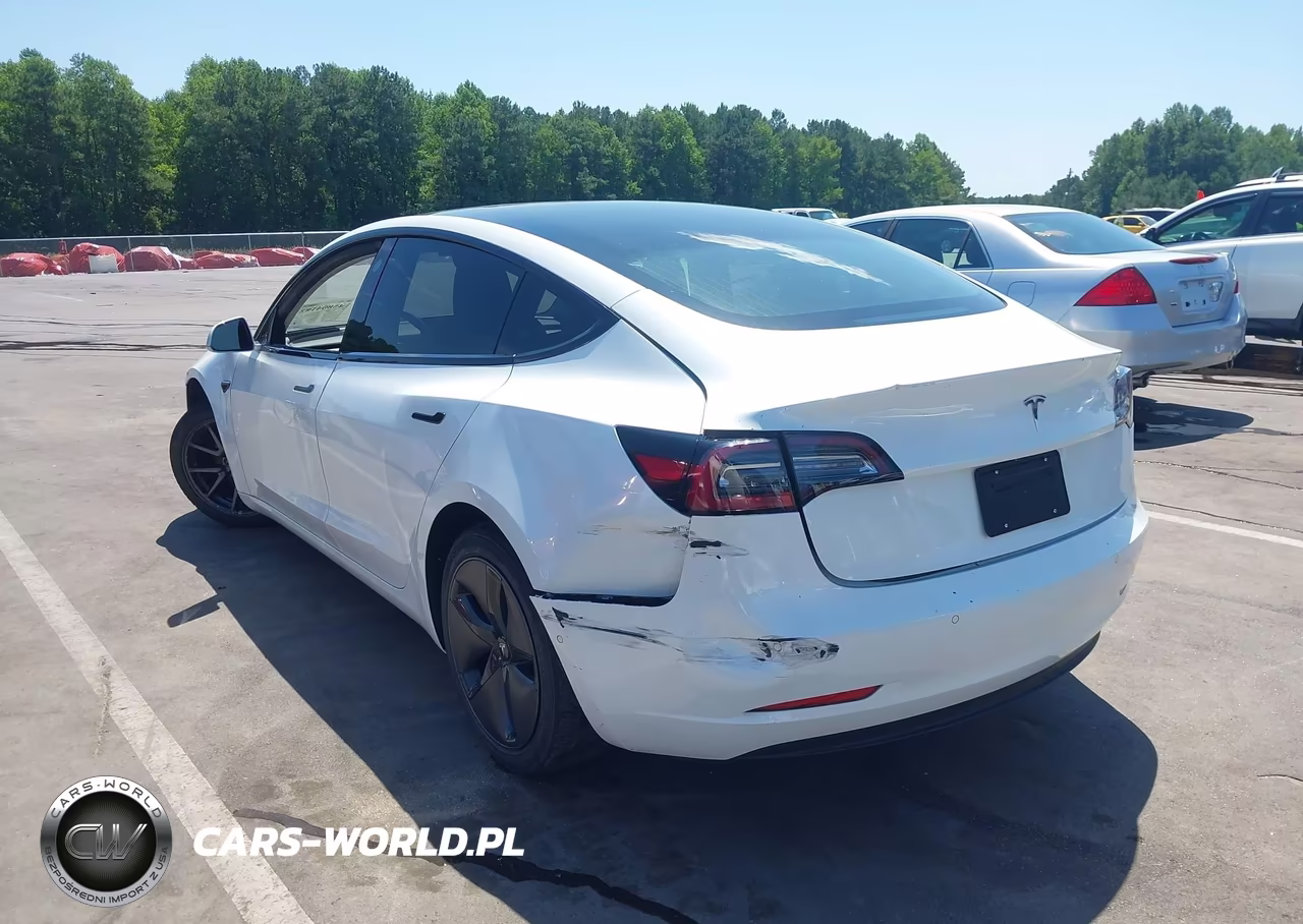 2019 Tesla Model 3 Long Range-Mid Range-Standard Range-Standard Range Plus VIN:5YJ3E1EA5KF434960 - 3