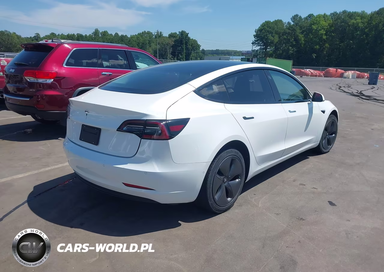 2019 Tesla Model 3 Long Range-Mid Range-Standard Range-Standard Range Plus VIN:5YJ3E1EA5KF434960 - 4