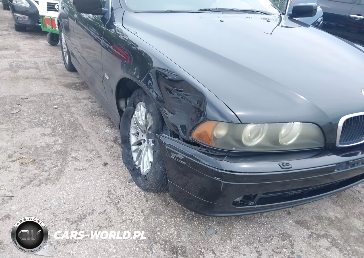 2003 BMW 530Ia VIN:WBADT63443CK34877 - 6