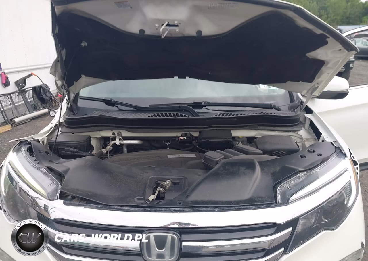 2017 Honda Pilot Elite VIN:5FNYF6H05HB024610 - 10