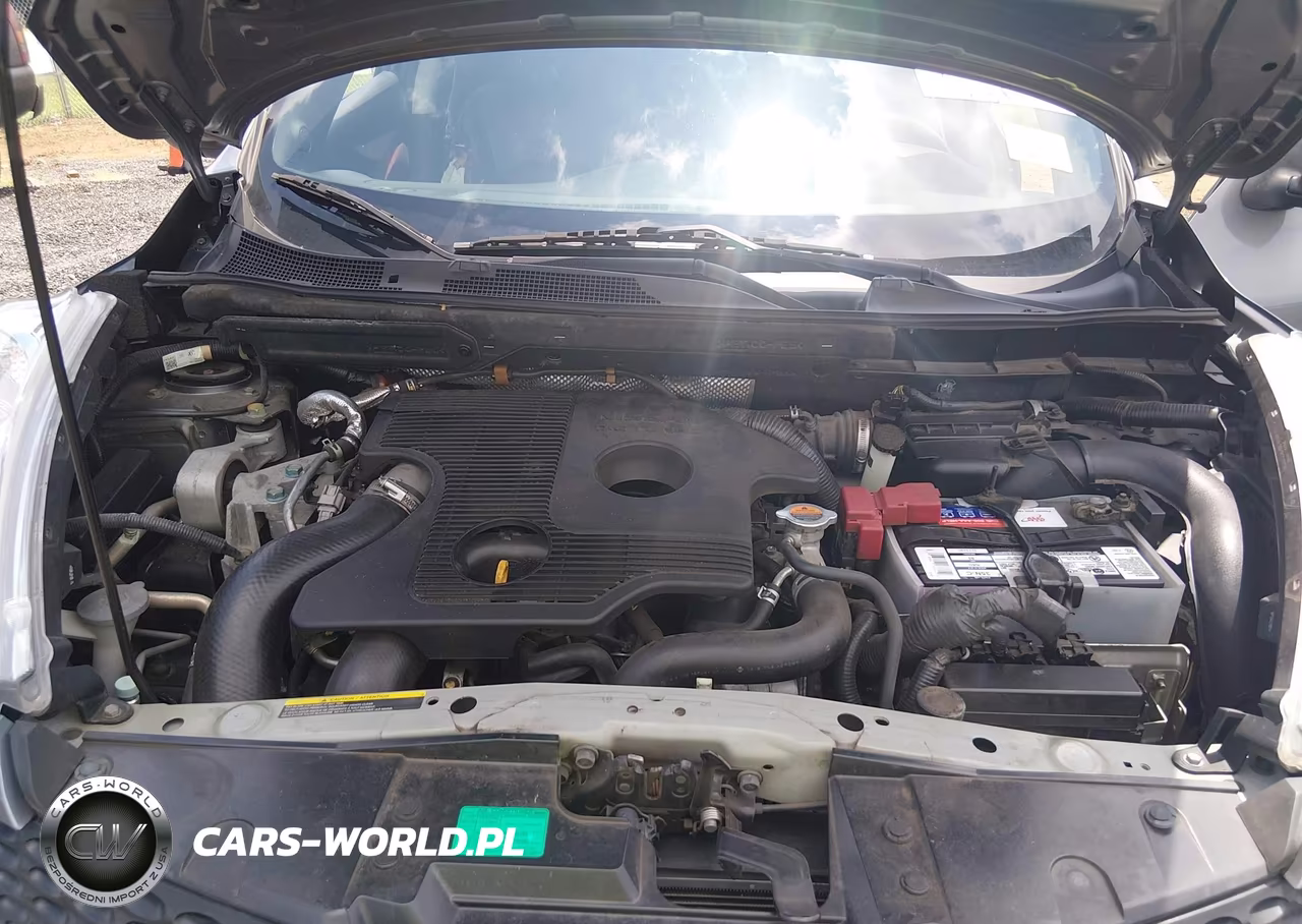 2014 Nissan Juke Sl VIN:JN8AF5MR4ET454710 - 10