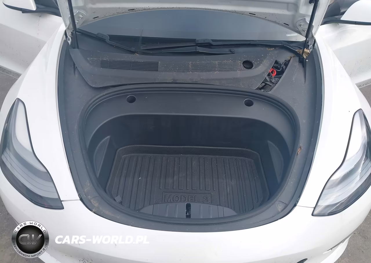 2021 Tesla Model 3 Standard Range Plus Rear-Wheel Drive VIN:5YJ3E1EAXMF947690 - 9