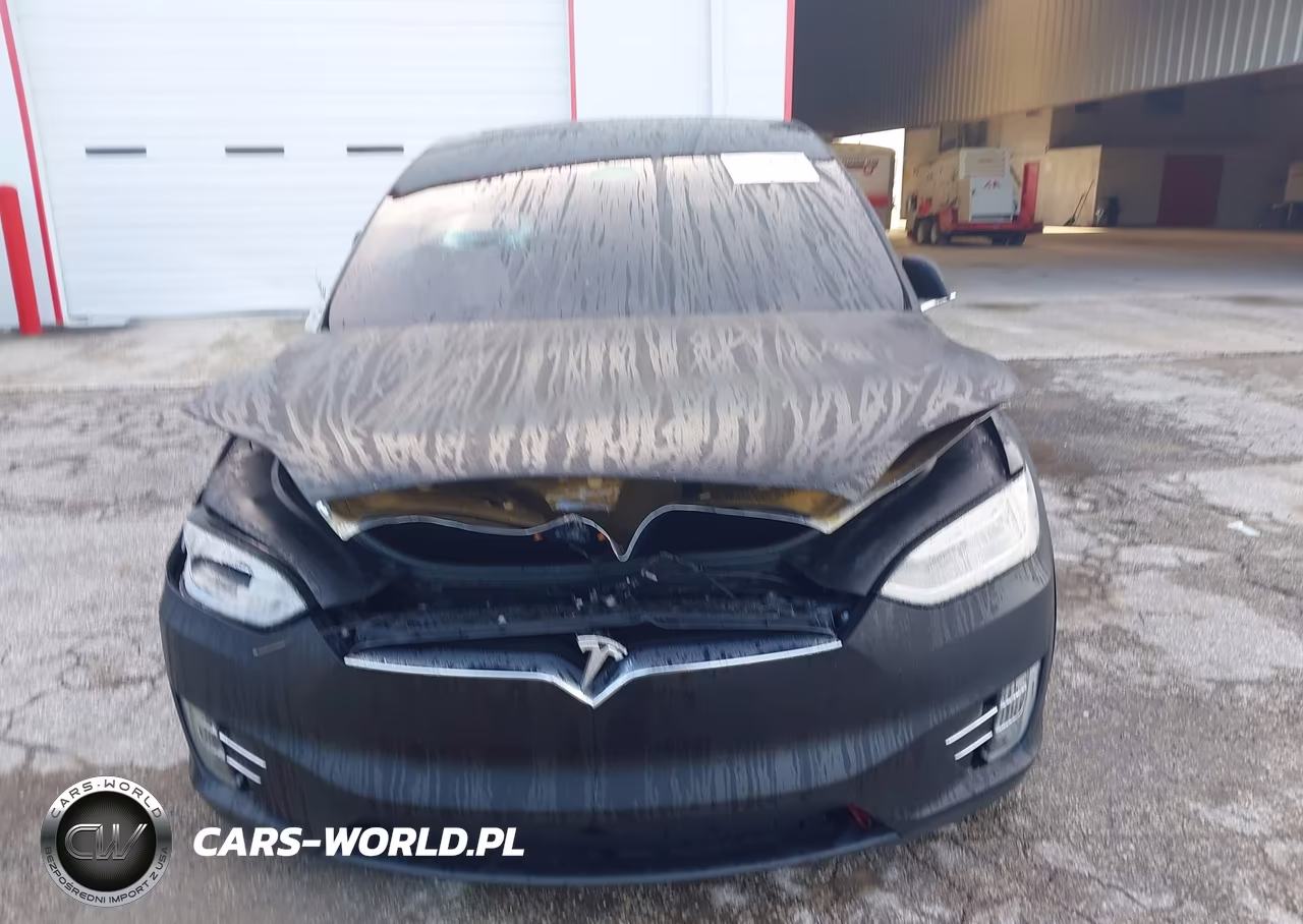 2017 Tesla Model X 100D-75D-90D VIN:5YJXCDE23HF059693 - 12