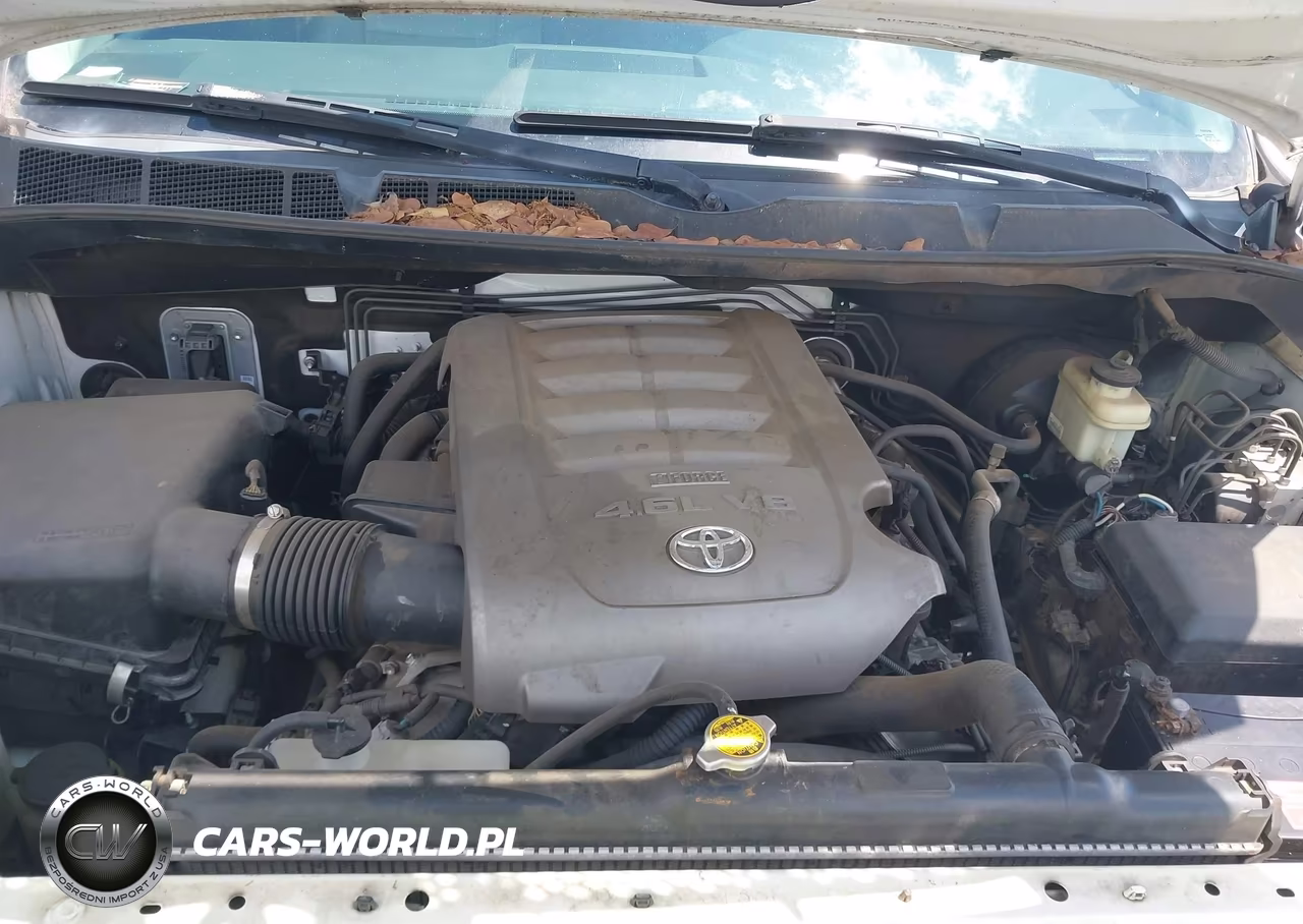 2010 Toyota Tundra Grade 4.6L V8 VIN:5TFRM5F19AX010866 - 10