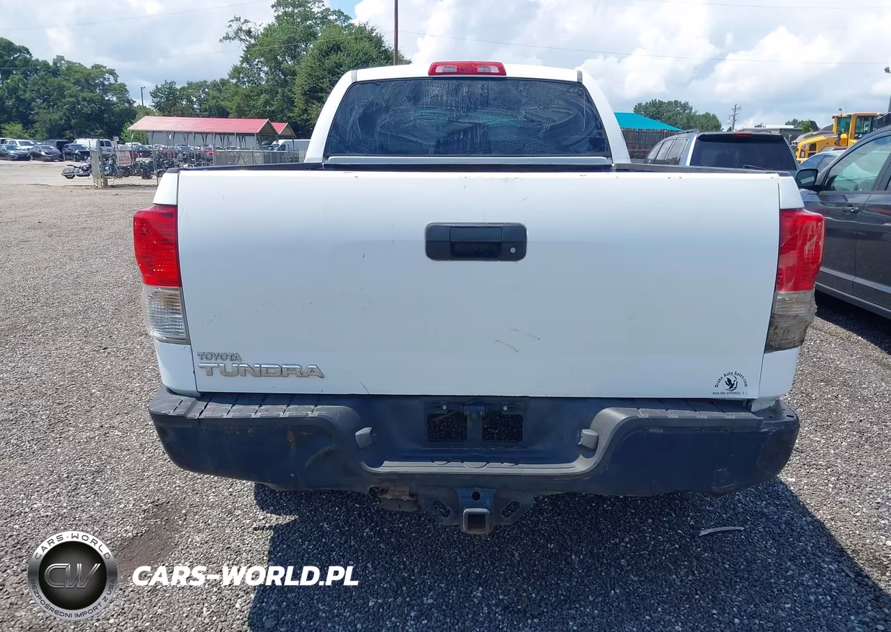 2010 Toyota Tundra Grade 4.6L V8 VIN:5TFRM5F19AX010866 - 17