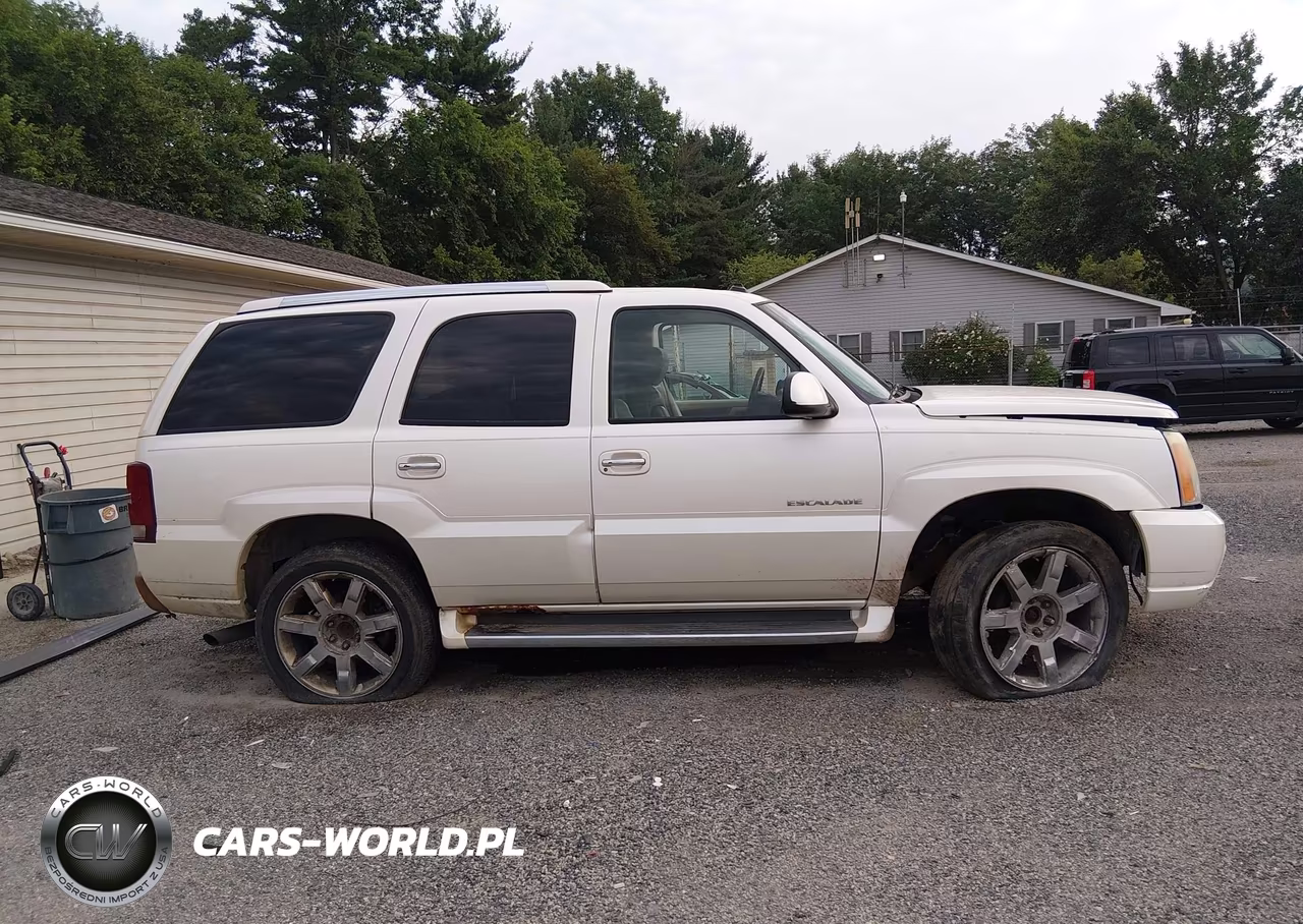 2003 Cadillac Escalade Standard VIN:1GYEK63N03R305616 - 14