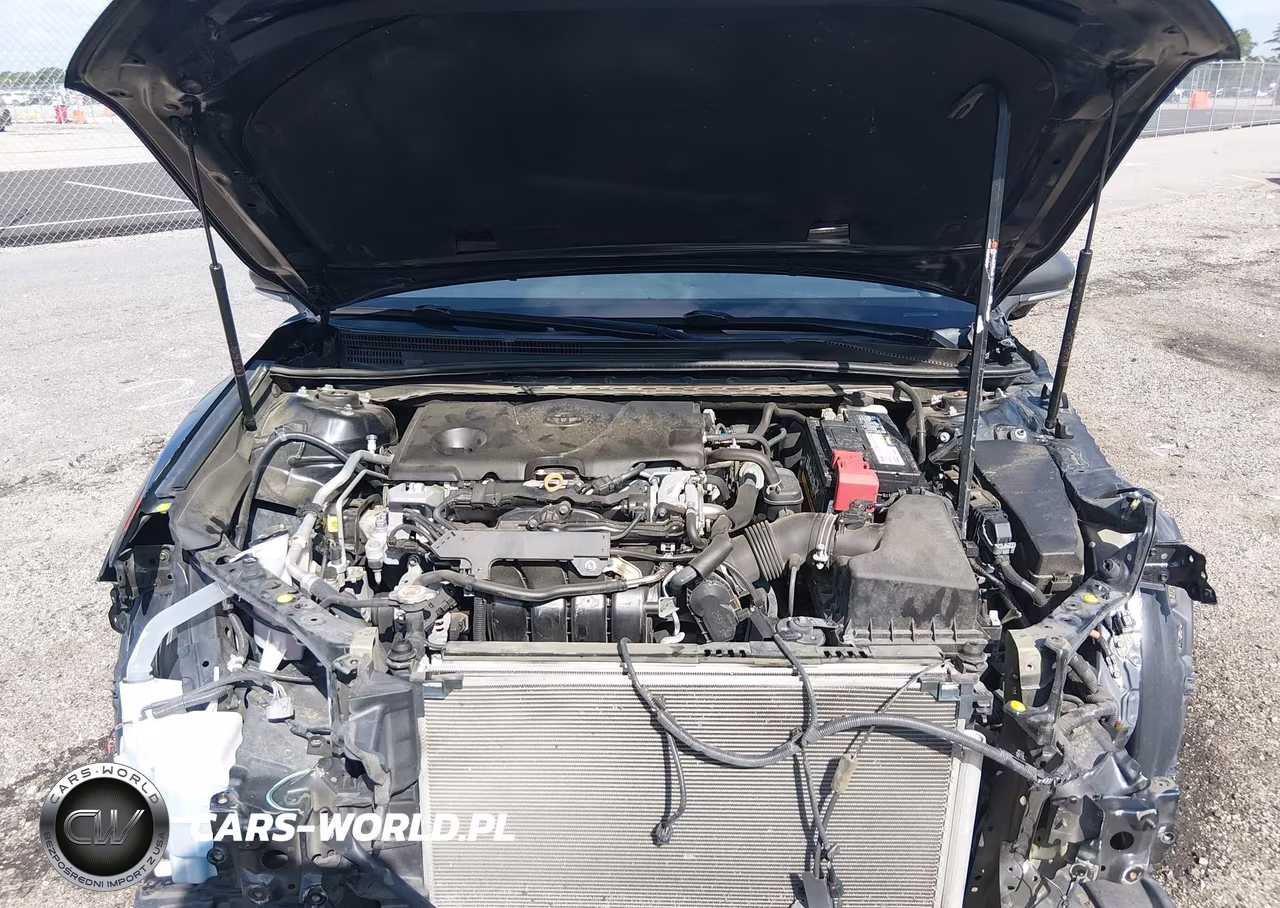 2019 Toyota Camry Xse VIN:4T1B61HK0KU781564 - 10