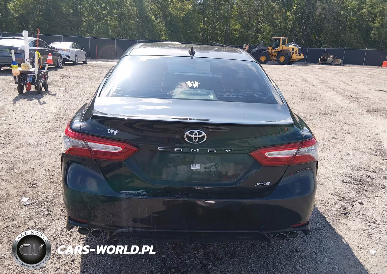 2019 Toyota Camry Xse VIN:4T1B61HK0KU781564 - 17