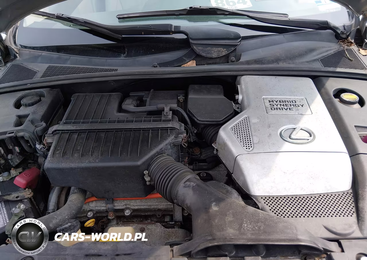 2006 Lexus Rx 400H VIN:JTJHW31U960014134 - 10