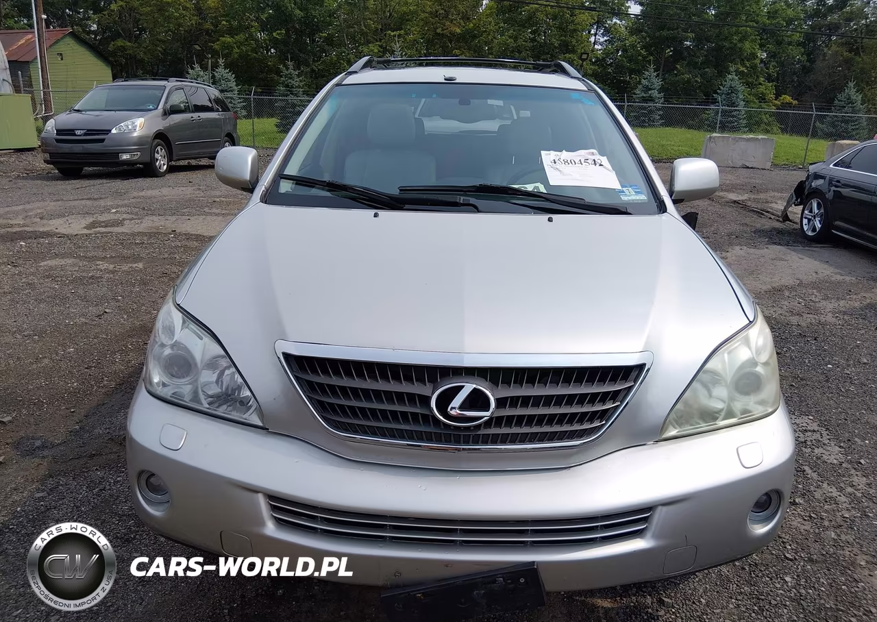 2006 Lexus Rx 400H VIN:JTJHW31U960014134 - 6