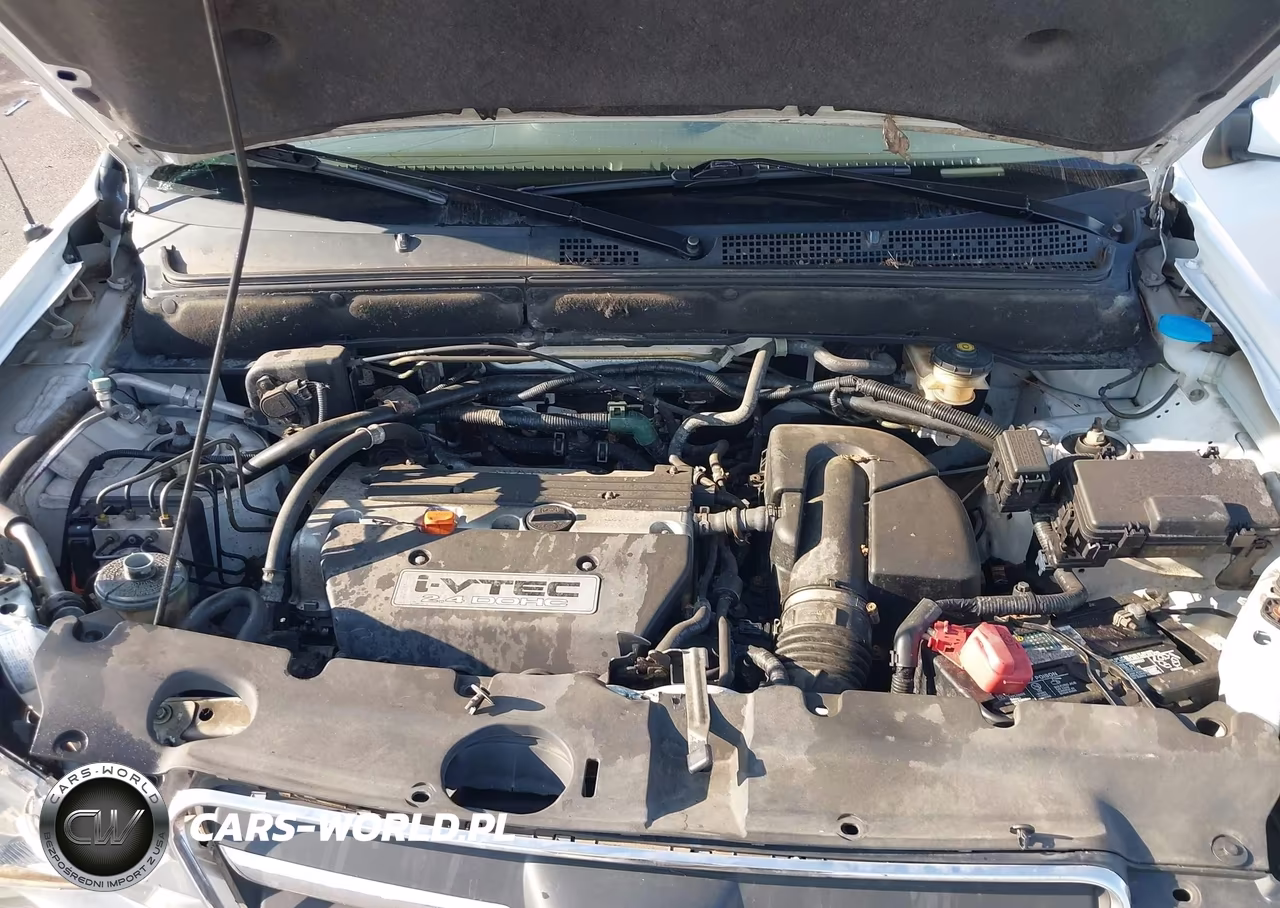 2005 Honda Cr-V Se VIN:JHLRD789X5C004024 - 10