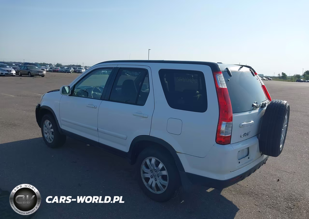 2005 Honda Cr-V Se VIN:JHLRD789X5C004024 - 3