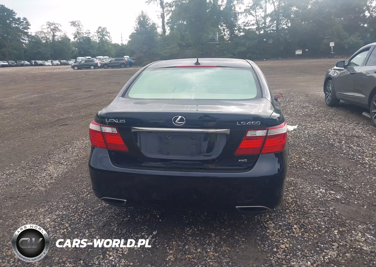 2009 Lexus Ls 460 VIN:JTHCL46F495003537 - 16