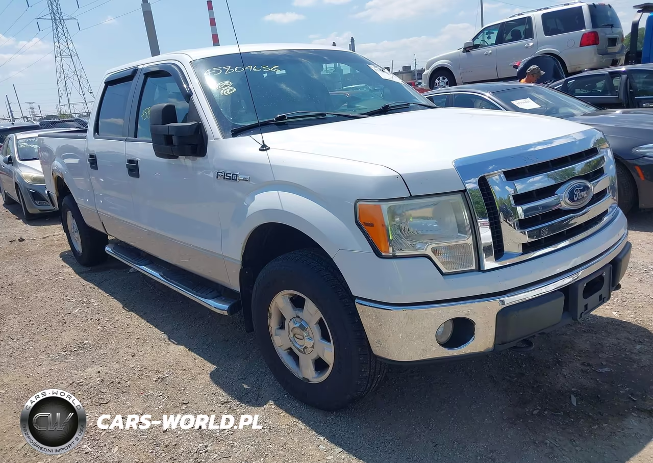 2010 Ford F-150 Xlt – zdjęcie 1 z 11