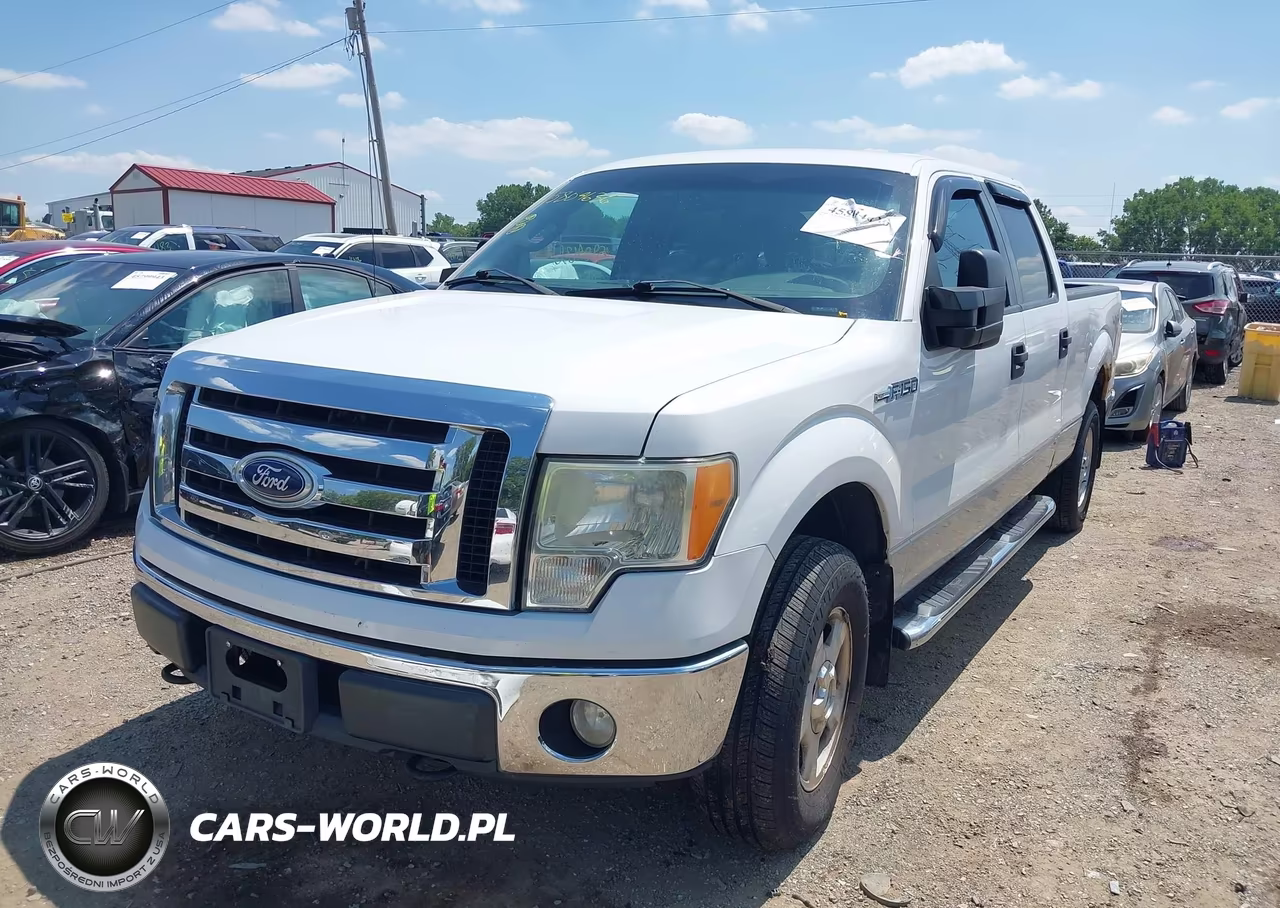 2010 Ford F-150 Xlt VIN:1FTFW1E88AFB87077 - 2